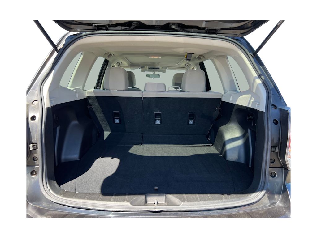 Thumbnail: 2017 Subaru Forester - 17