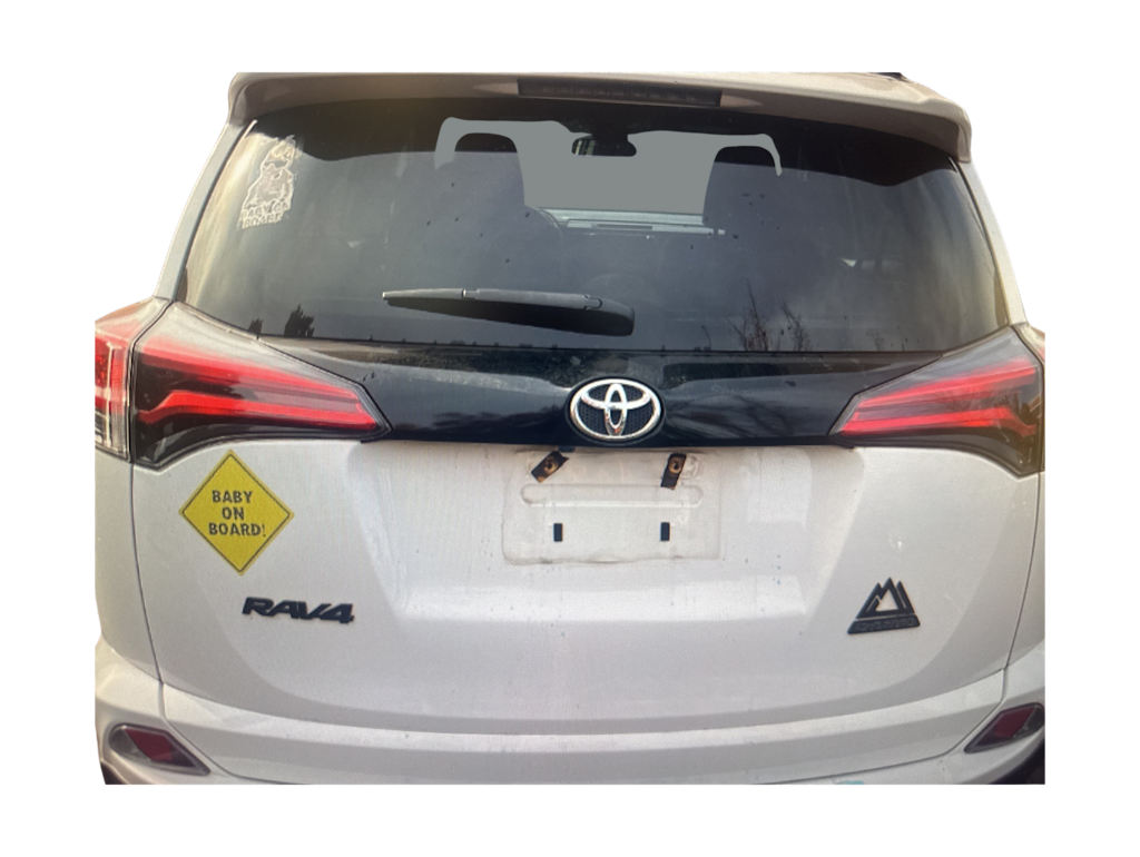 Thumbnail: 2018 Toyota RAV4 - 5