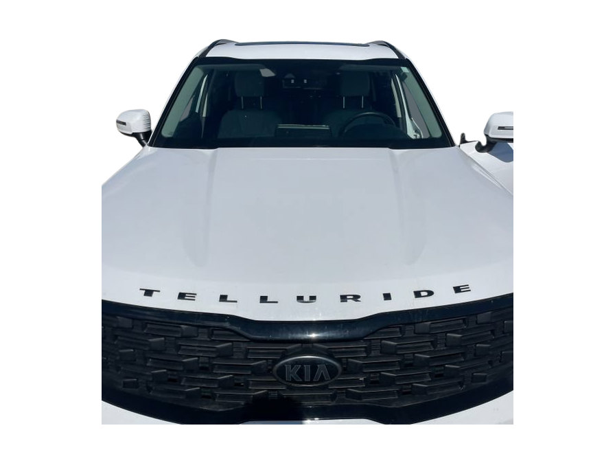 Thumbnail: 2021 Kia Telluride - 30
