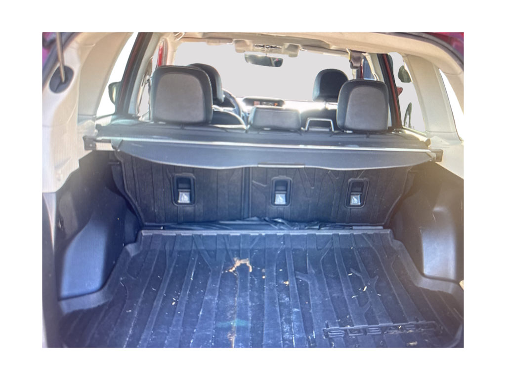 Thumbnail: 2018 Subaru Forester - 12