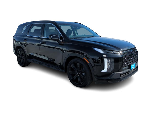 2024 Hyundai Palisade XRT 20