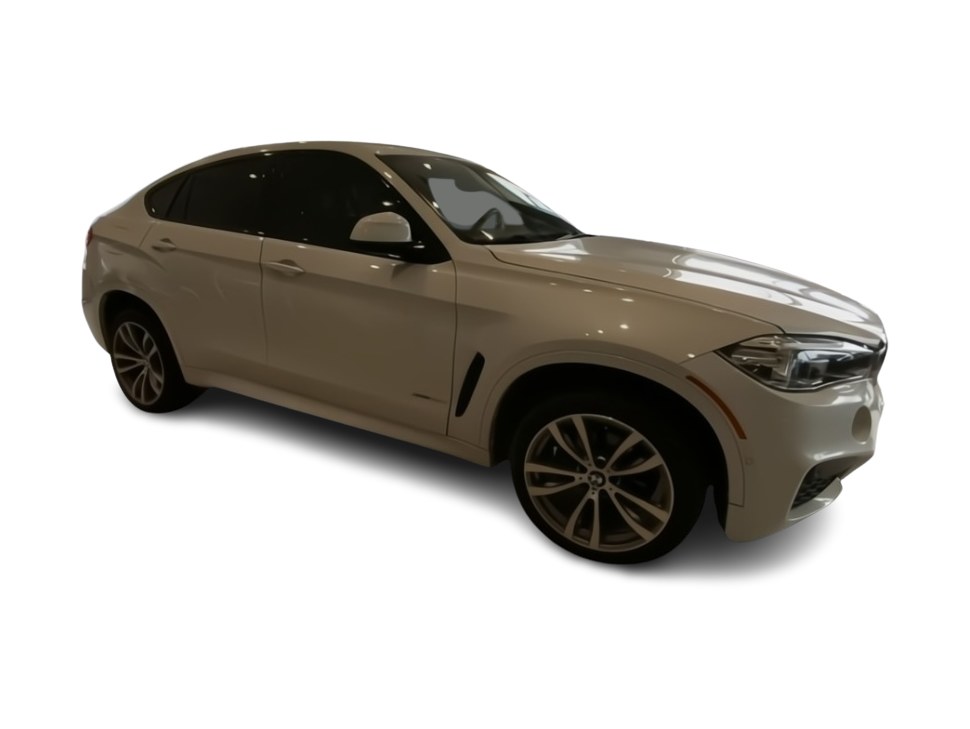 2019 BMW X6 xDrive35i 17