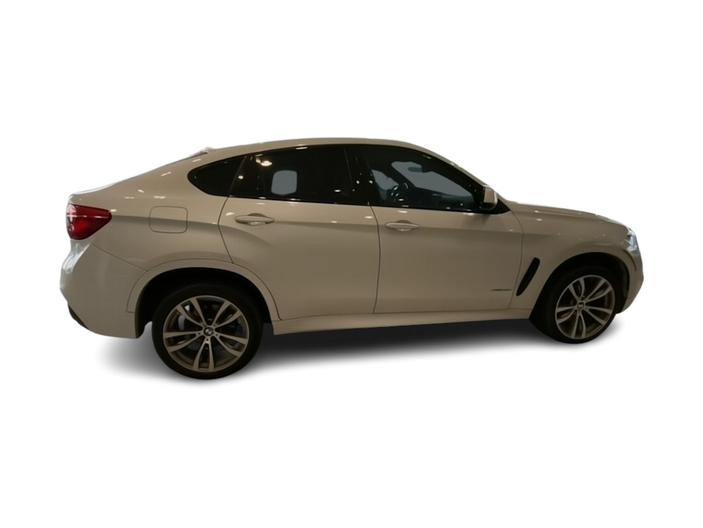 2019 BMW X6 xDrive35i 16