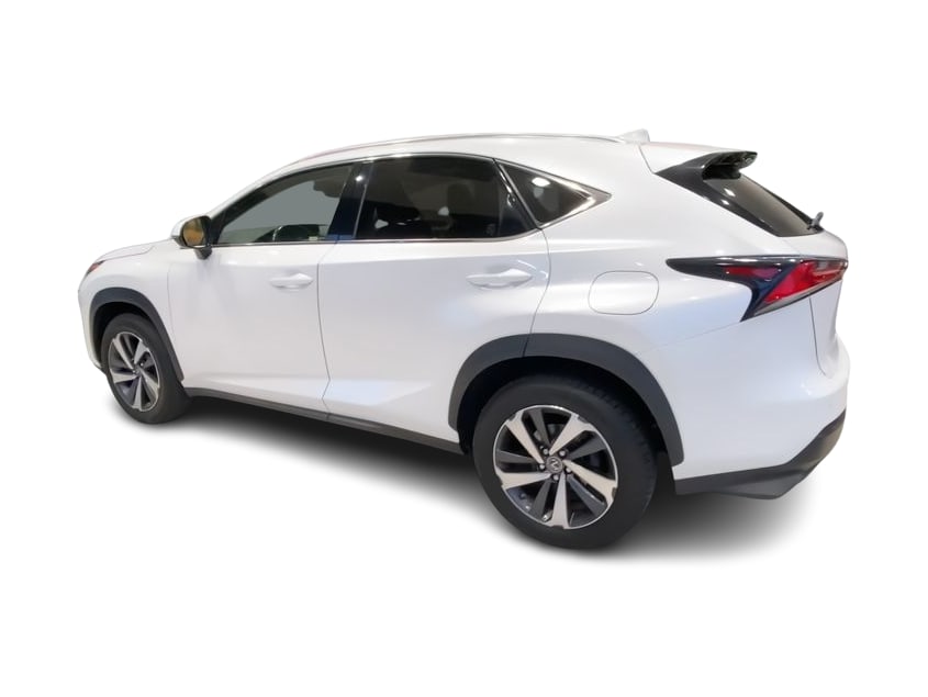 2019 Lexus NX 300 18