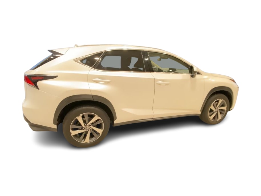 2019 Lexus NX 300 20