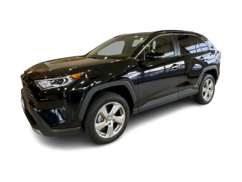 2019 Toyota RAV4 Limited 17