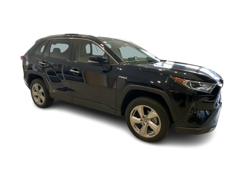 2019 Toyota RAV4 Limited 16