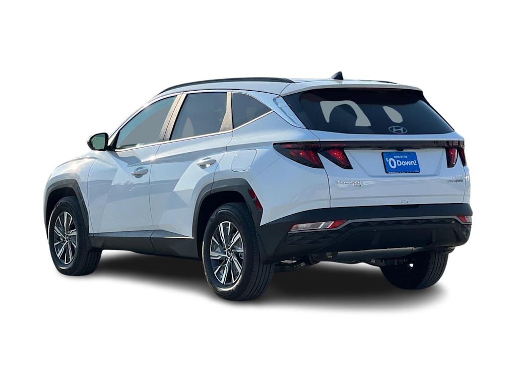 2024 Hyundai Tucson Blue 5