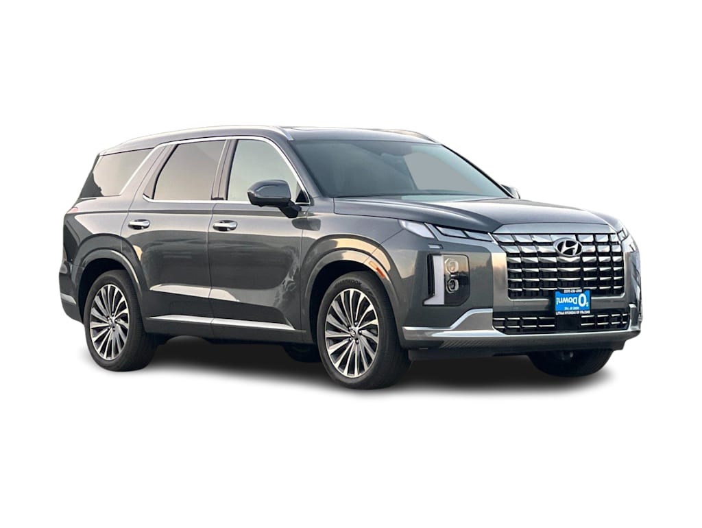 2025 Hyundai Palisade Calligraphy 20