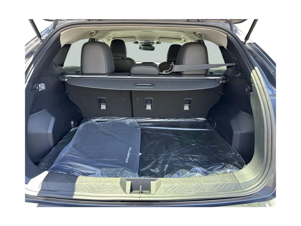 Thumbnail: 2025 Subaru Crosstrek - 16