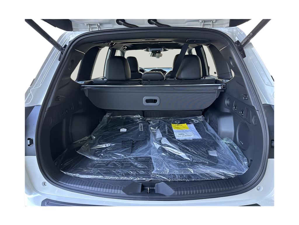 Thumbnail: 2025 Subaru Forester - 17