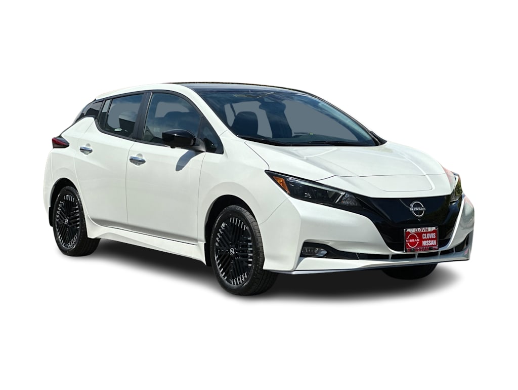2025 Nissan Leaf SV Plus 18