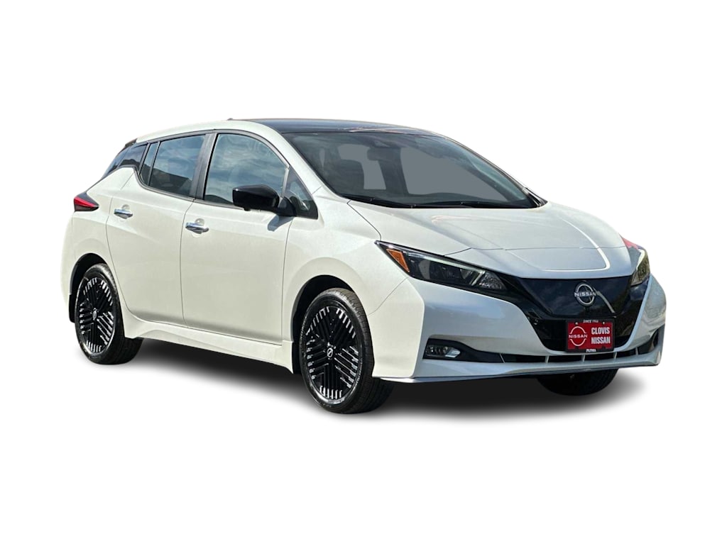 2025 Nissan Leaf SV Plus 18