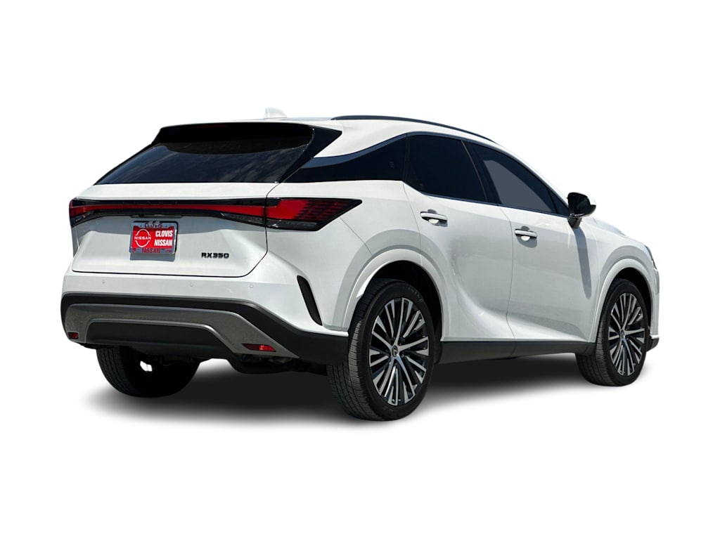 Thumbnail: 2025 Lexus RX - 19