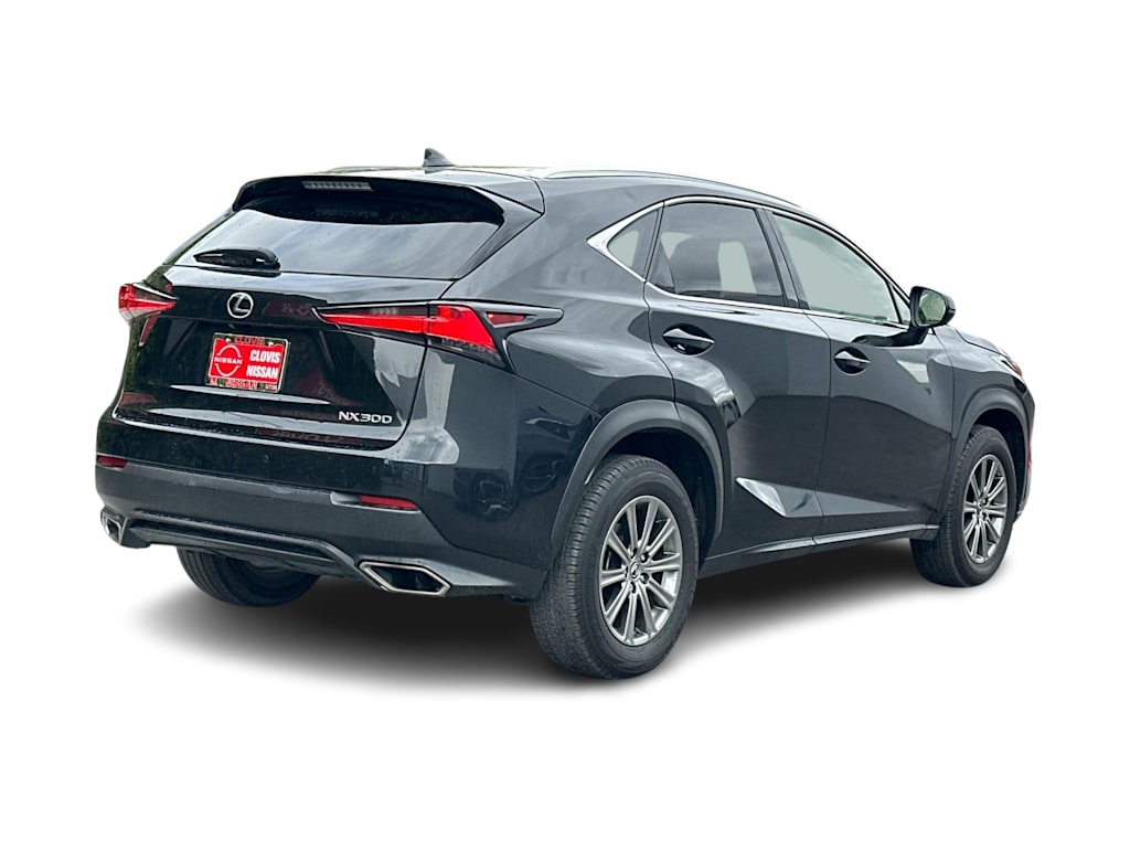 2019 Lexus NX 300 18