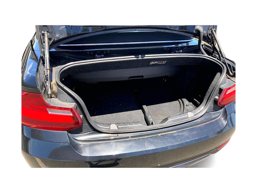 Thumbnail: 2016 BMW 2 Series - 19