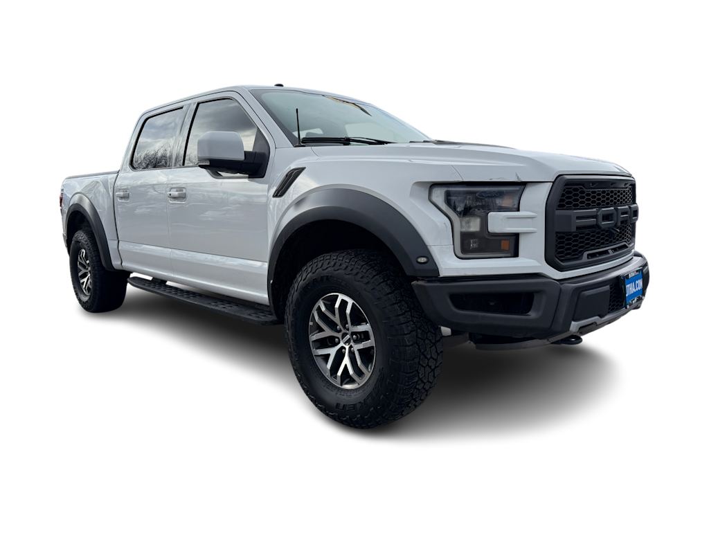 2018 Ford F-150 Raptor 18