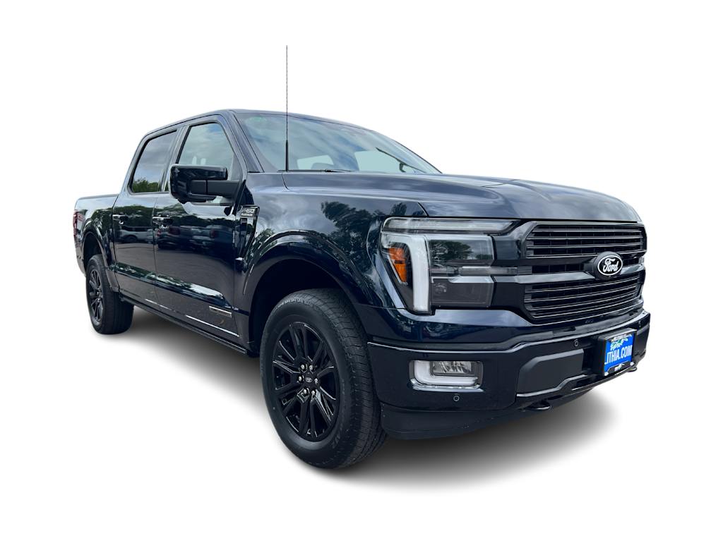 2024 Ford F-150 Platinum 16