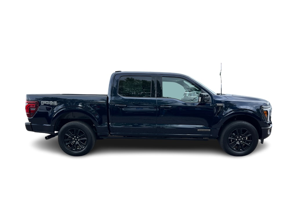 2024 Ford F-150 Platinum 17