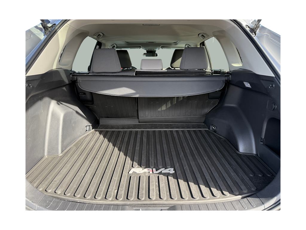 2019 Toyota RAV4 XLE 20