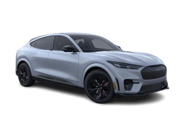 2025 Ford Mustang Mach-E GT 14