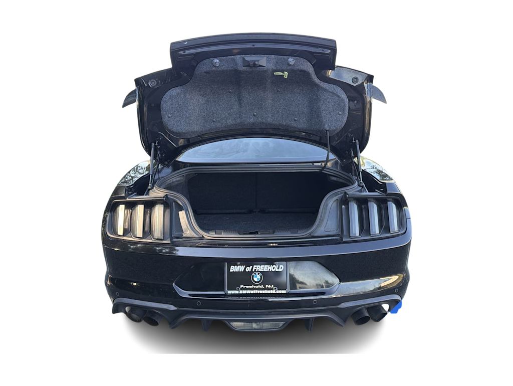 Thumbnail: 2019 Ford Mustang - 22