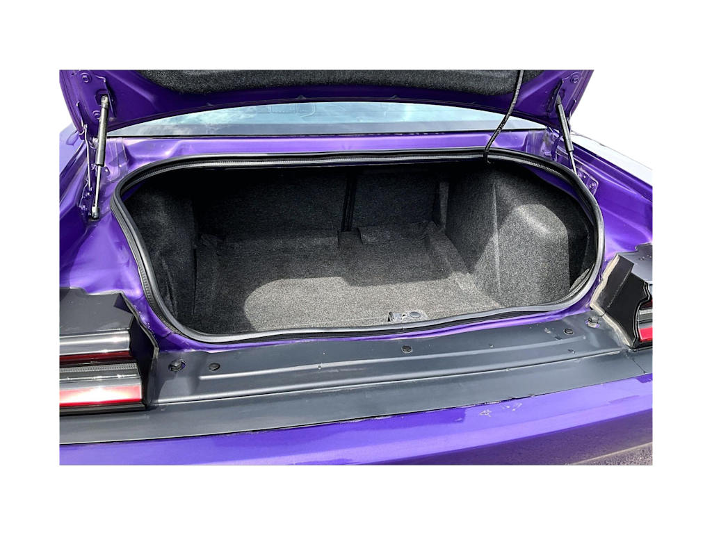 Thumbnail: 2019 Dodge Challenger - 18