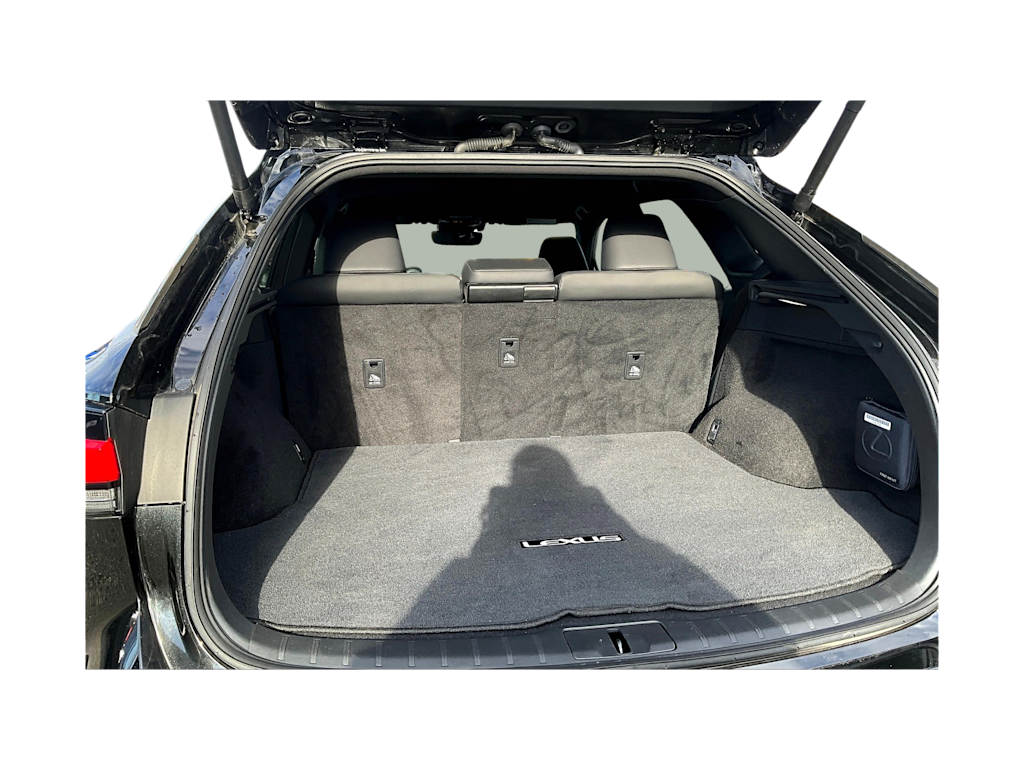 Thumbnail: 2024 Lexus RX - 19