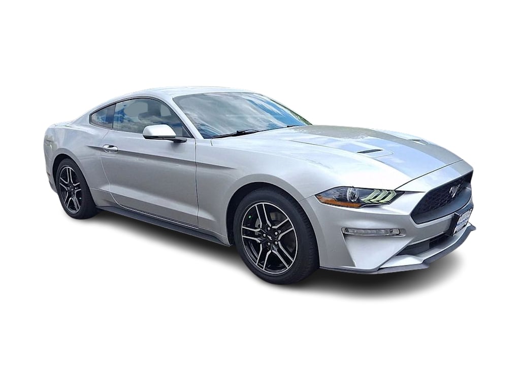 Thumbnail: 2019 Ford Mustang - 14