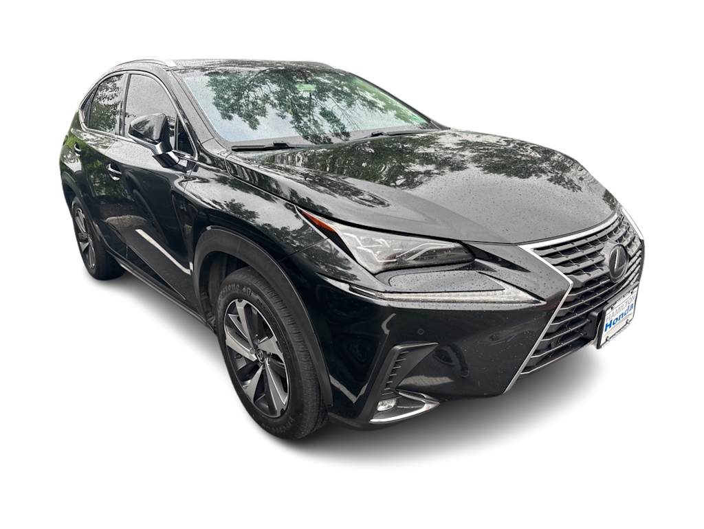2018 Lexus NX 300 10