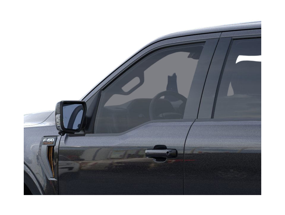 2025 Ford F-150 Tremor 20