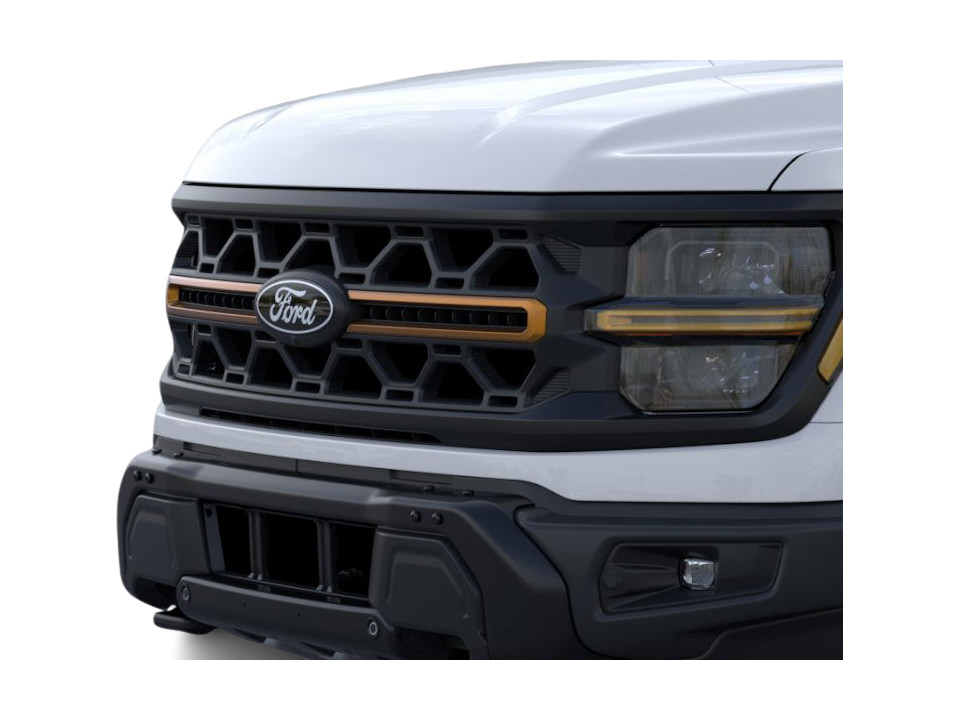 2025 Ford F-150 Tremor 18