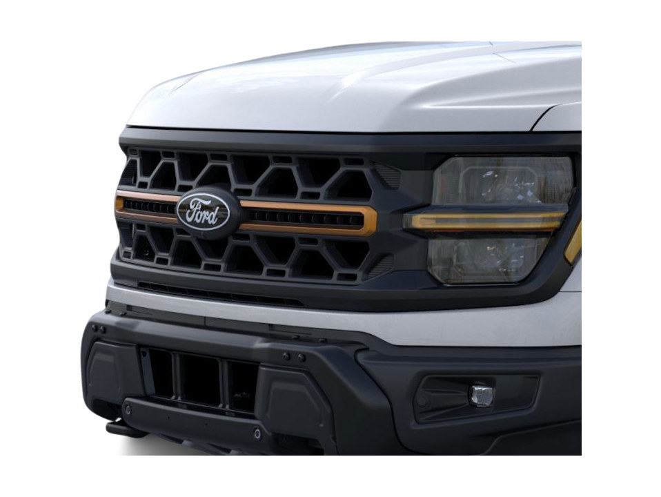 2025 Ford F-150 Tremor 19
