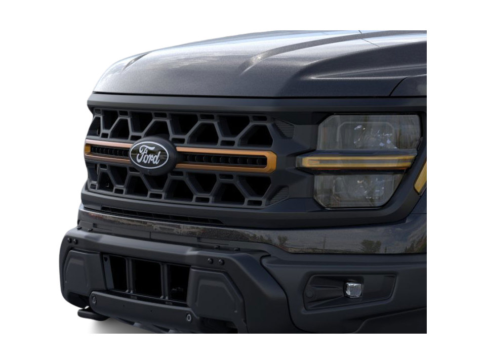 2025 Ford F-150 Tremor 18