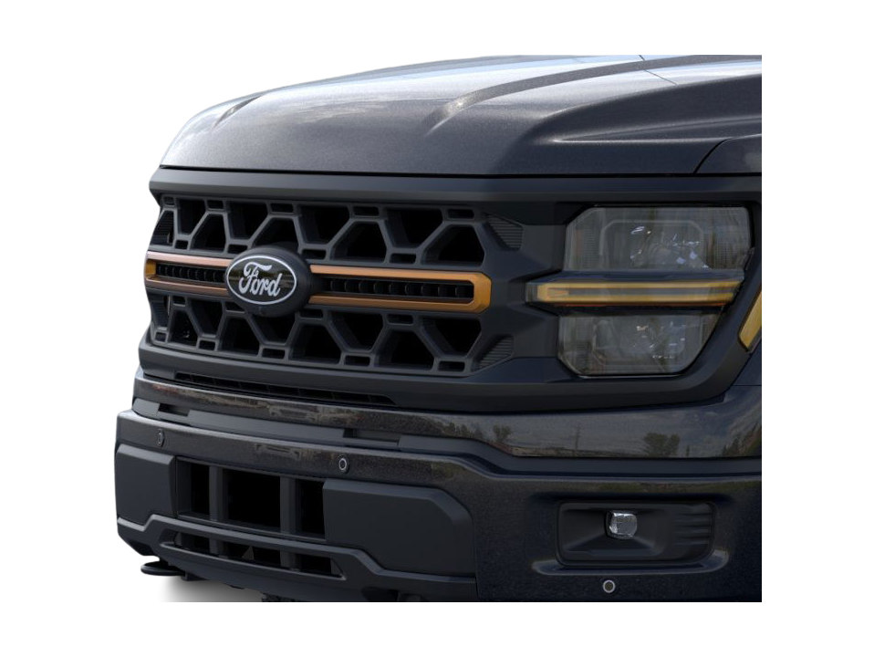 2025 Ford F-150 Tremor 19