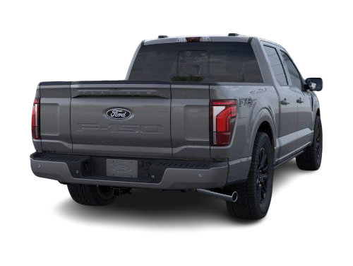 2025 Ford F-150 Platinum 15