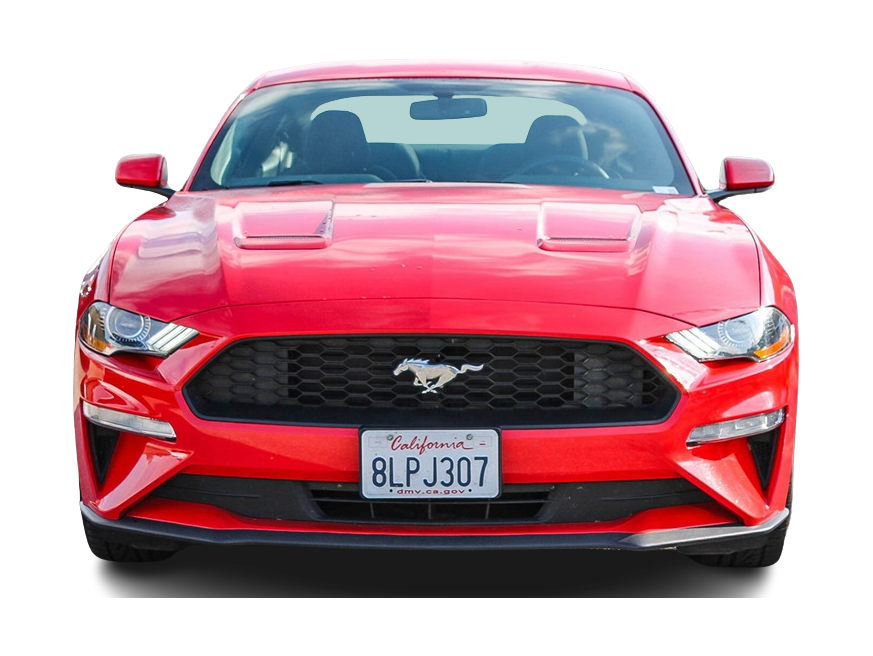 2019 Ford Mustang  4