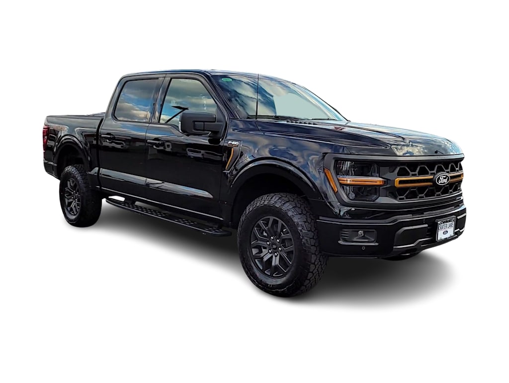 2024 Ford F-150 Tremor 19