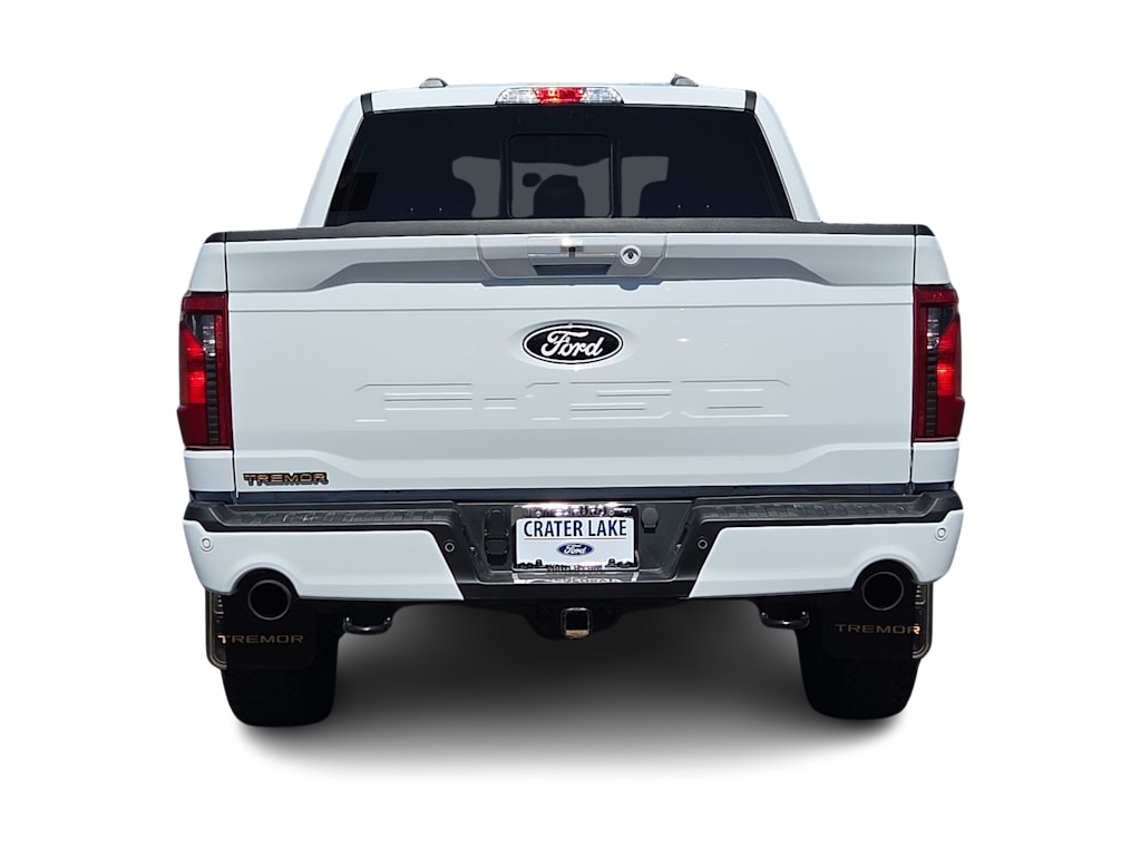 Thumbnail: 2025 Ford F-150 - 25