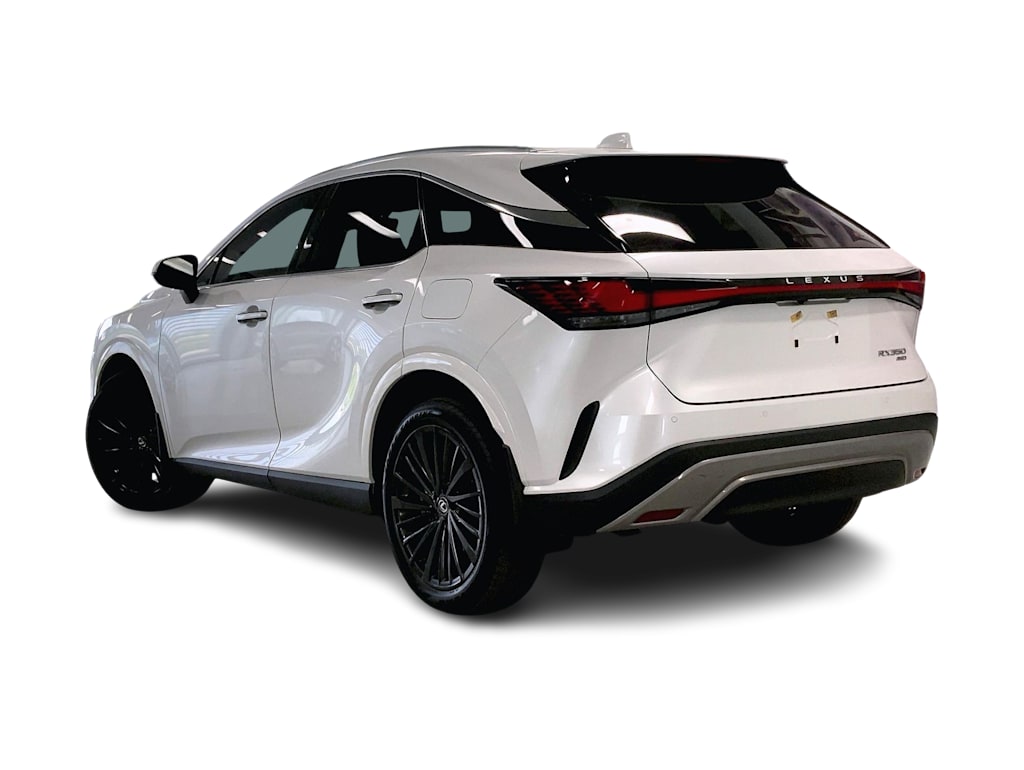 Thumbnail: 2024 Lexus RX - 4