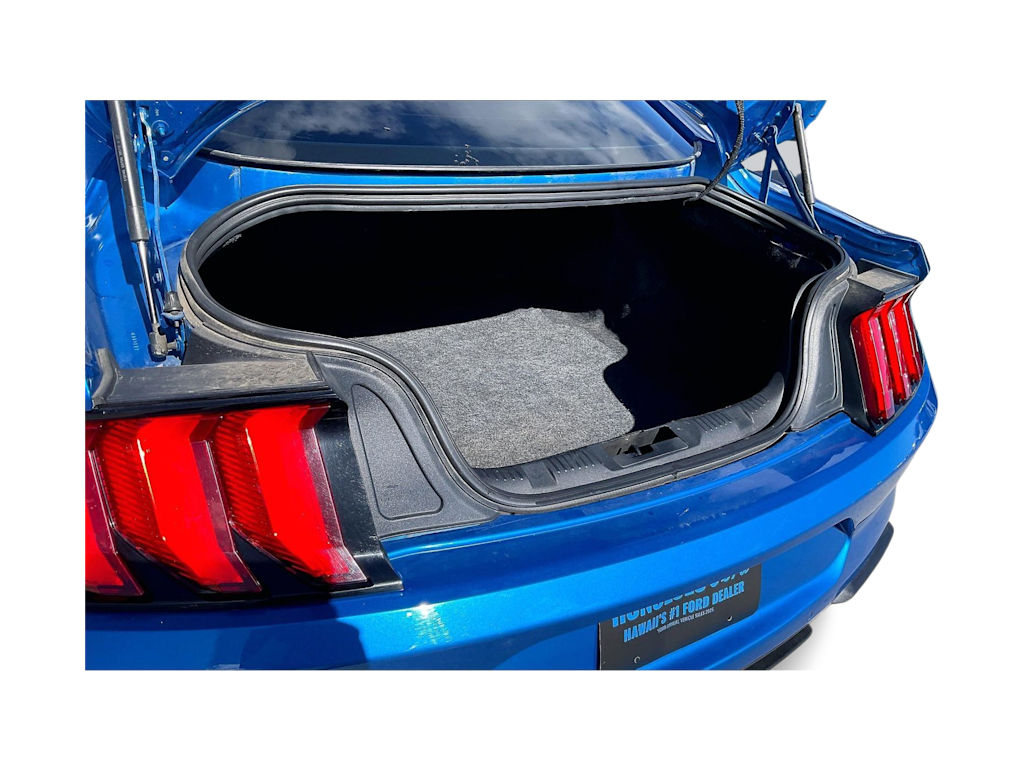 Thumbnail: 2019 Ford Mustang - 18