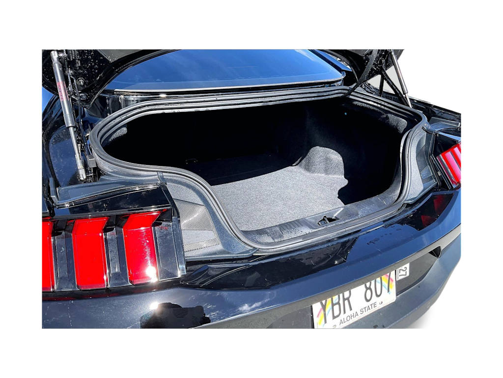 Thumbnail: 2025 Ford Mustang - 16
