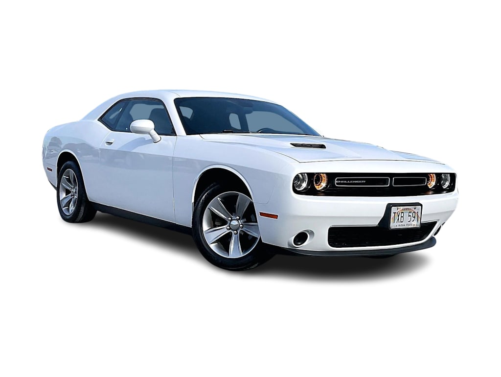 Thumbnail: 2019 Dodge Challenger - 22