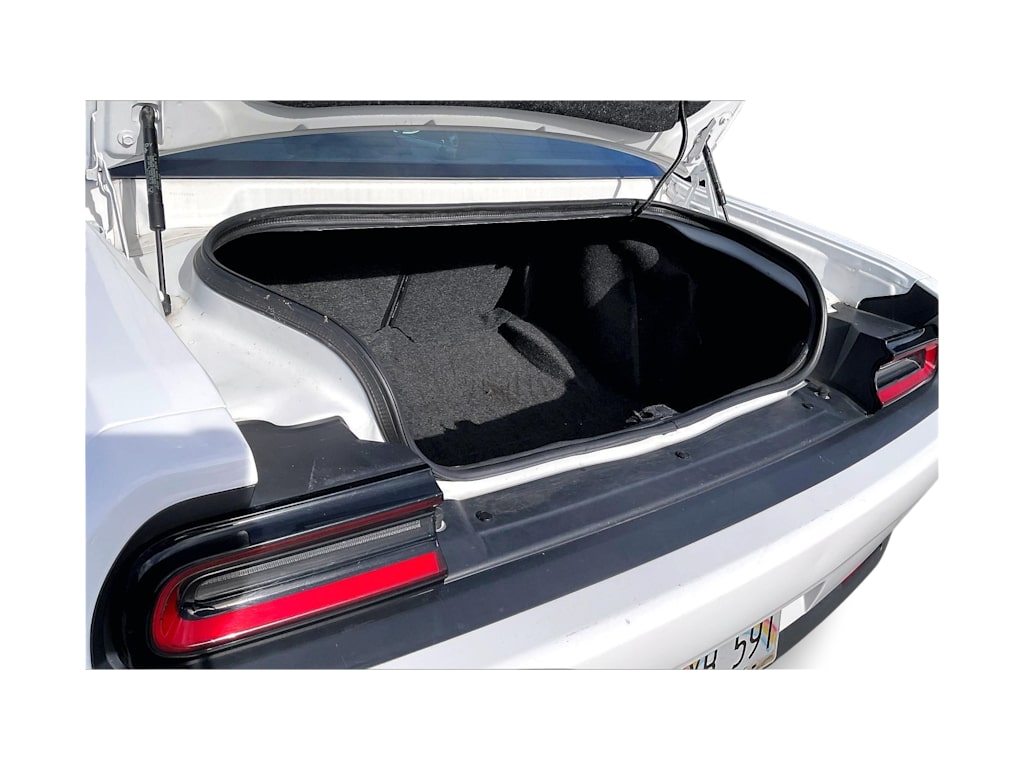 Thumbnail: 2019 Dodge Challenger - 19