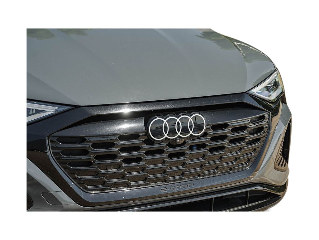 Thumbnail: 2024 Audi SQ8 e-tron - 16