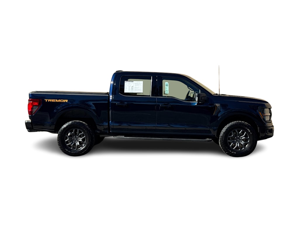Thumbnail: 2025 Ford F-150 - 19