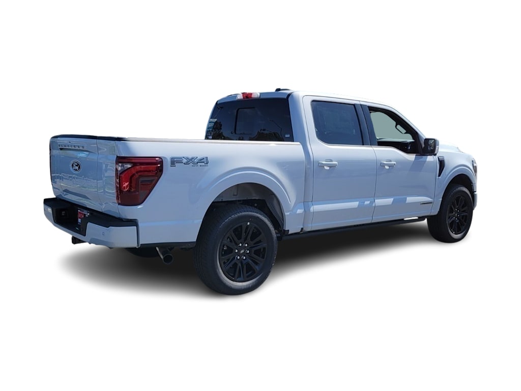 2025 Ford F-150 Platinum 17