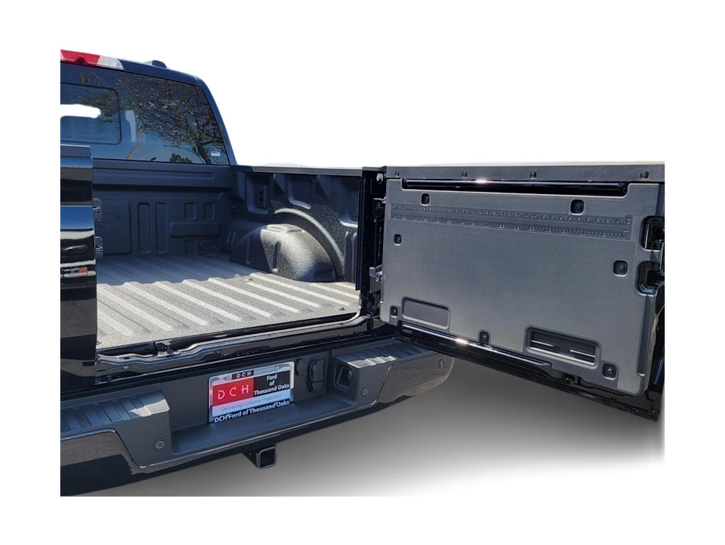 2025 Ford F-150 Platinum 19