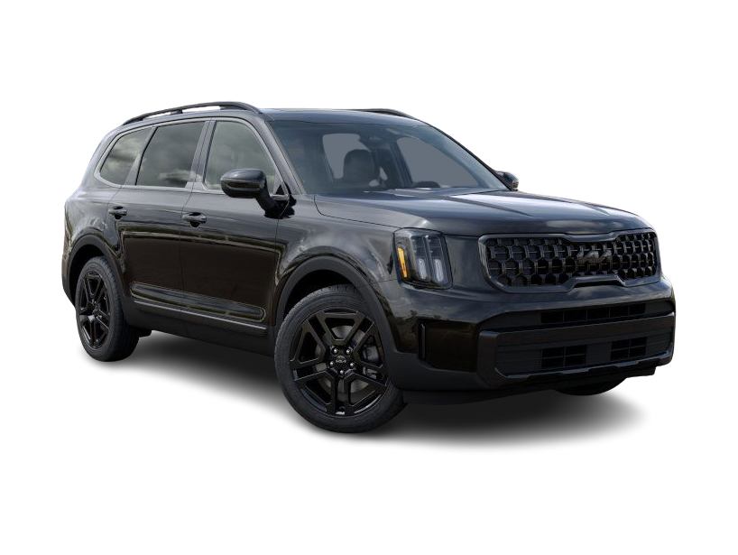 2025 Kia Telluride EX 18