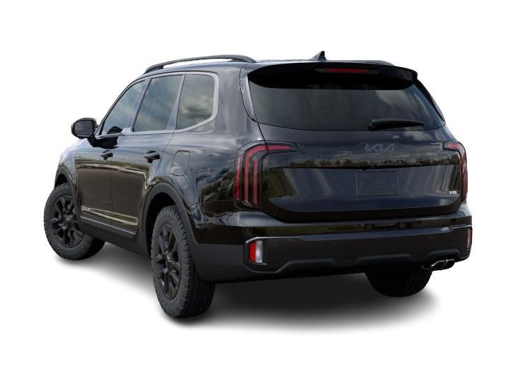 2025 Kia Telluride SX 14